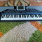 Korg PA-800