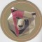 Suport de pahar / Biscuite URSUS