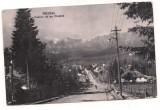 % carte postala-PREDEAL-Vedere spre Cioplea