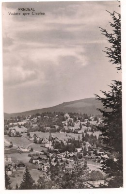% carte postala-PREDEAL vedere spre Cioplea foto