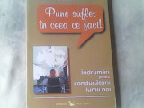 Pune suflet in ceea ce faci-indrumari pentru conducatorii lumii noi-R. Rabbin, Alta editura