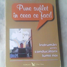 Pune suflet in ceea ce faci-indrumari pentru conducatorii lumii noi-R. Rabbin