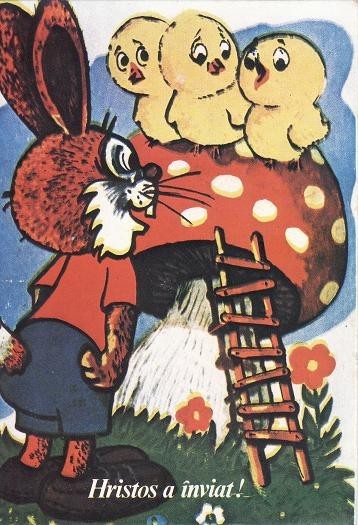 2917 - Felicitare