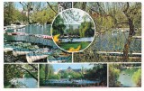 % carte postala(ilustrata)-BUCURESTI-Gradina Cismigiu, Necirculata, Printata