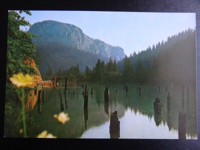 SEPT15 - Vedere/ Carte postala - Lacul Rosu foto