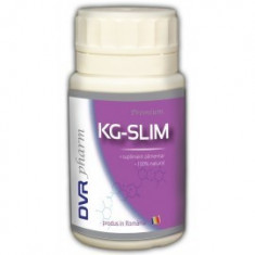 KG-Slim 60cps DVR Pharm foto