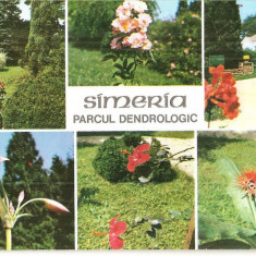 CPI (B5625) SIMERIA, JUD. HUNEDOARA. PARCUL DENDROLOGIC