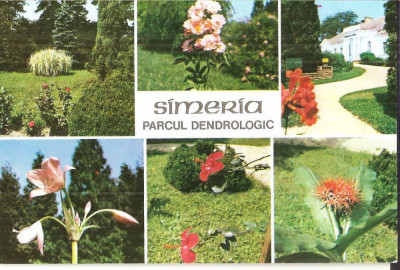 CPI (B5625) SIMERIA, JUD. HUNEDOARA. PARCUL DENDROLOGIC foto