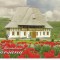 CPI (B5637) MARAMURES. MANASTIREA BARSANA
