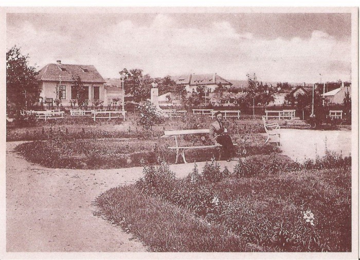 CPI (B5651) COLECTIA &quot;BARLADUL DE ALTADATA&quot;. PARCUL DOMNESC&quot;