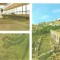 CPI (B5687) CONSTANTA. MOZAICUL ROMAN