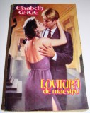 LOVITURA DE MAESTRU - Elisabeth Gage