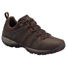 Pantofi de strada barbatesti Columbia Peakfreak Nomad Plus (CLM-BM3974-COR) foto