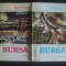 IOAN POPA - BURSA 2 volume