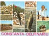 CPI (B5684) CONSTANTA. DELFINARIU, Necirculata, Fotografie
