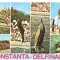 CPI (B5684) CONSTANTA. DELFINARIU