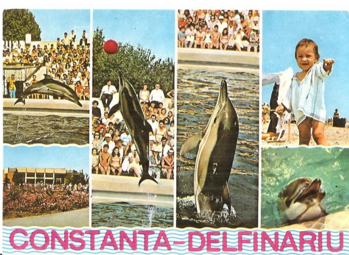 CPI (B5684) CONSTANTA. DELFINARIU