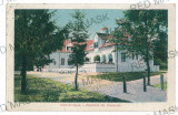 3068 - SIBIU, Dumbrava - old postcard - used - 1919, Circulata, Printata