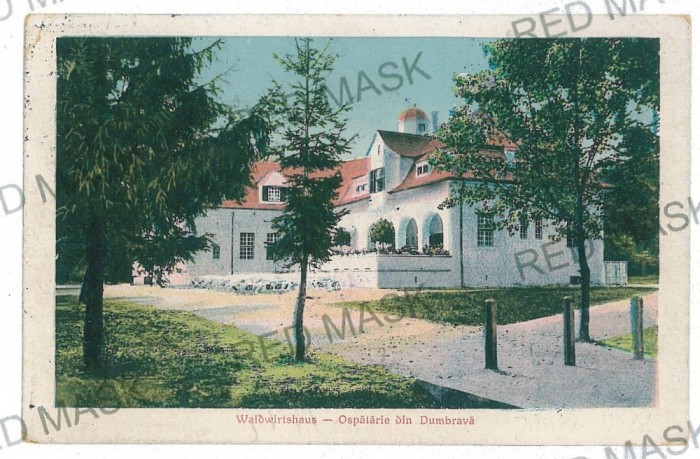 3068 - SIBIU, Dumbrava - old postcard - used - 1919