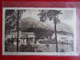 AKVDE2 - Carte postala - Vedere - Sinaia, Circulata, Printata