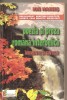 (C6277) ION HAINES - POEZIA SI PROZA INTERBELICA. MOMENTE SI SINTEZE
