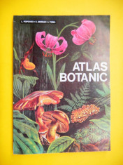 ATLAS BOTANIC L Popovici C Moruzi foto