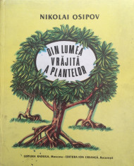 DIN LUMEA VRAJITA A PLANTELOR - Nikolai Osipov foto