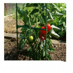 Spalier tomate din otel plasticat 150 cm Stocker foto