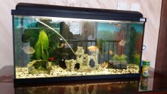 Acvariu Aquatlantis 120 l foto