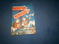 INDREPTAR REBUSIST DE N. ANDREI, EDITURA SPORT-TURISM, 1980 foto