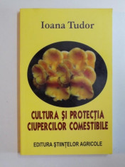 CULTURA SI PROTECTIA CIUPERCILOR COMESTIBILE de IOANA TUDOR foto