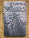 Nicolae Mateescu - Sarbatoare legala