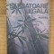 Nicolae Mateescu - Sarbatoare legala