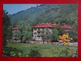 SEPT15-Vedere/Carte postala-Orasul Nucet-Bihor-circulata