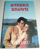 Asalt tandru - Sandra Brown