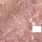 Blat de bucatarie 5305 SQ (marmura rosie) - 3050 x 600 x 28mm