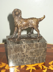 Sculptura deosebita din bronz masiv ,caine pe soclu din marmura foto