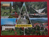 SEPT15-Vedere/Carte postala-Olanesti-circulata, Printata