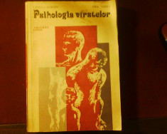 Ursula Schiopu Emil Verza Psihologia varstelor. Ciclurile vietii, ed. princeps foto