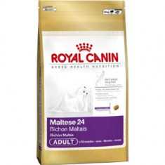 Royal Canin Bichon Maltese 24 1 5 kg foto