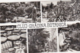Bnk cp Cluj - Gradina botanica - circulata, Printata