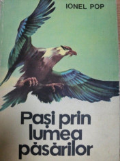 PASI PRIN LUMEA PASARILOR de IONEL POP, BUC.1979 foto