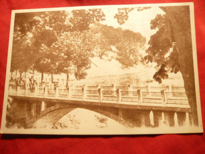 Ilustrata Caciulata-Calimanesti - Podul peste Olt -inceputul anilor &amp;#039;50 foto