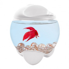 Bol Tetra Betta Bubble Alb 1 8 L foto