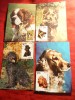 Set 12 Maxime vechi - Caini - unele cu valori mari
