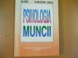 Psihologia muncii G. Iosif M. Moldovan - Scholz Bucuresti 1996 009