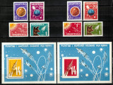 Albania 1962, cosmos, racheta, Laika, dant + ned, MNH, superbe, cota 198 &euro;!, Spatiu, Nestampilat