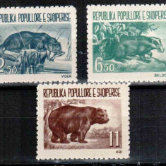 Albania 1961, Mi #627-629**, fauna, bursuc, urs, MNH, superbe, cota Michel 30 €!