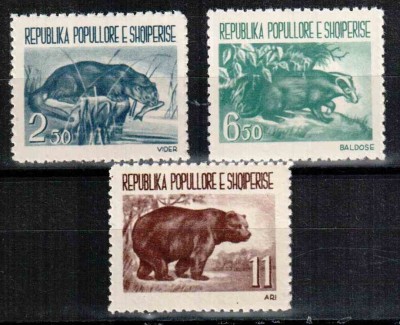 Albania 1961, Mi #627-629**, fauna, bursuc, urs, MNH, superbe, cota Michel 30 &amp;euro;! foto