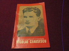 TINERETEA REVOLUTIONARA A TOVARASULUI NICOLAE CEAUSESCU foto